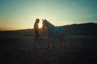 a man standing next to a white horse