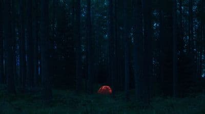 a red tent in the middle of a dark forest