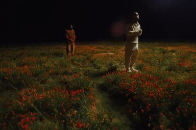 two people standing in a field of flowers at night