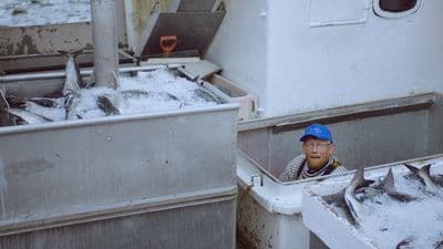 a man standing next to a bunch of fish