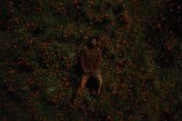 a man standing in a field of flowers