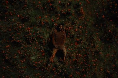 a man standing in a field of flowers