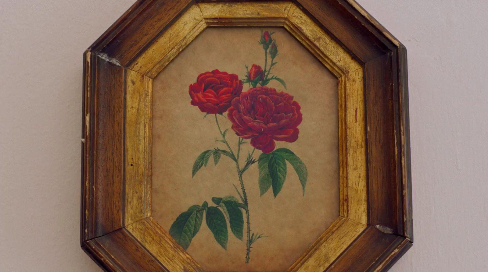 a picture of a flower on a wall