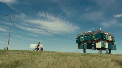 a couple of people sitting on top of a lush green field