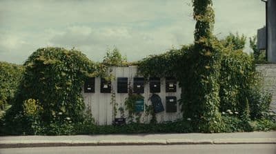 a white fence covered in vines next to a street