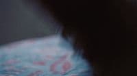 a blurry photo of a cat's tail and paw