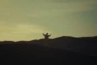a man standing on top of a sandy hill