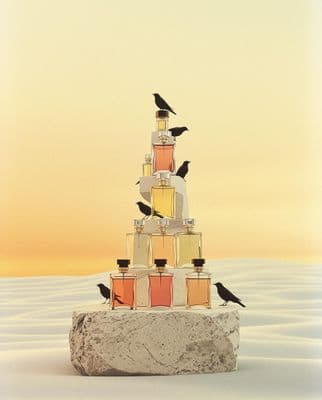 a group of birds sitting on top of a bottle tower