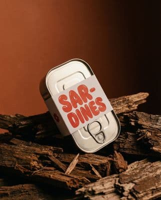 a tin of sar dines sitting on top of a pile of wood