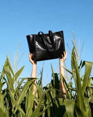 a person holding a black bag over their head in a field of corn