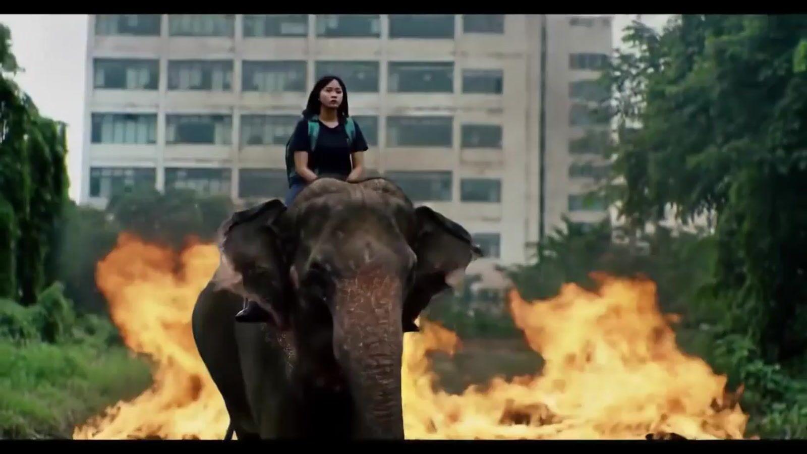 a woman riding on the back of an elephant