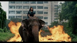 a woman riding on the back of an elephant