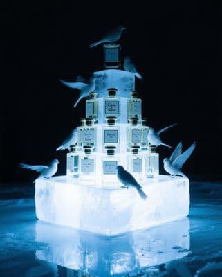 a flock of birds sitting on top of a block of ice