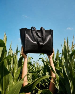 a woman holding a black bag over her head in a corn field