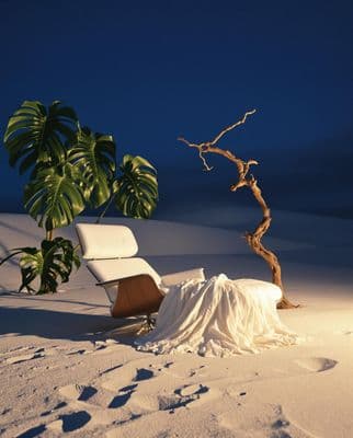 a chair and a tree in the snow