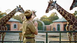 a man in uniform standing next to a group of giraffes