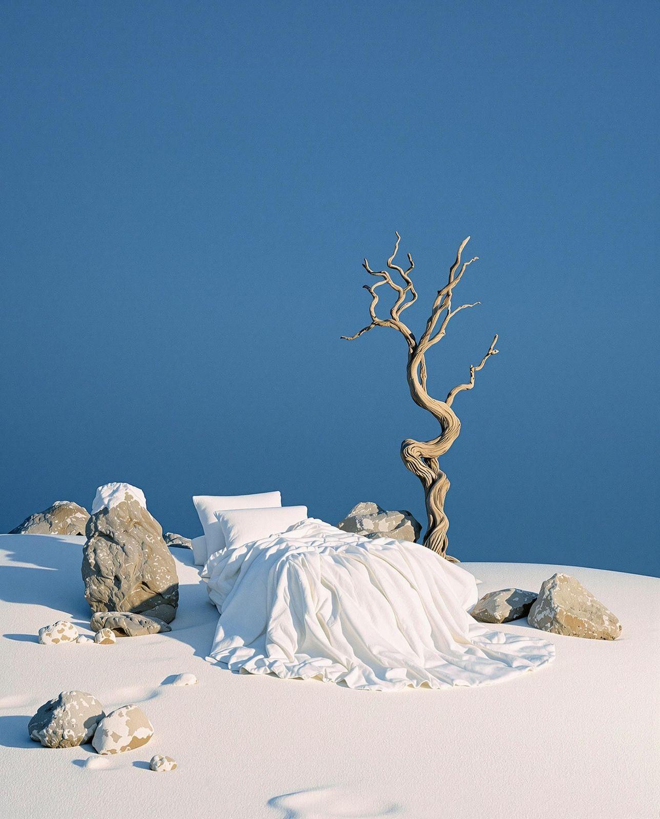 a tree that is standing in the snow