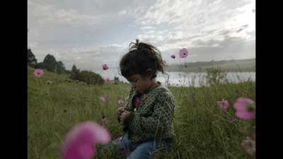 a little girl sitting in a field of flowers