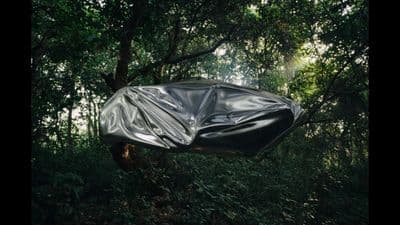 a black tarp covering a tree in a forest