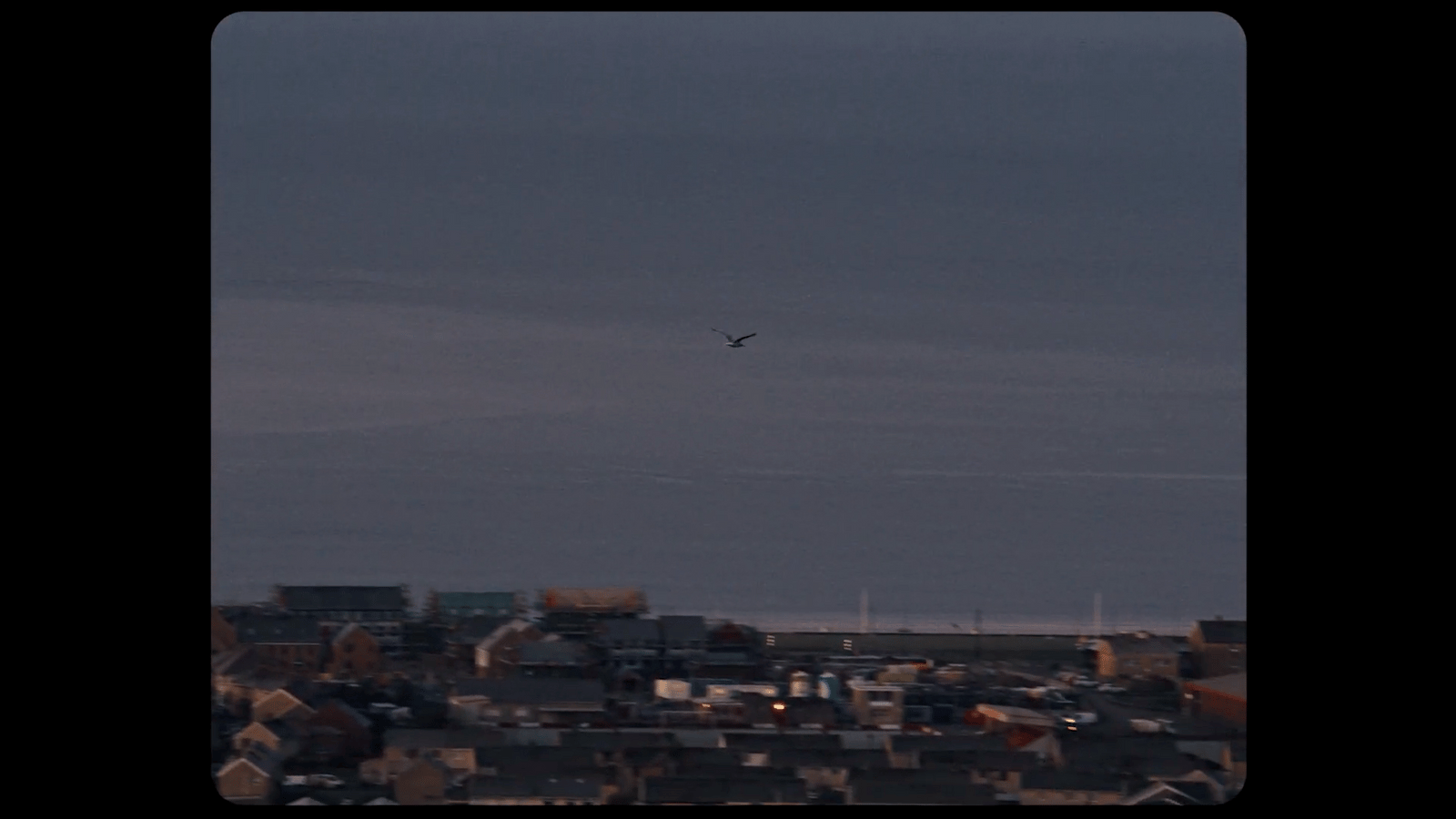 a bird flying over a city at night