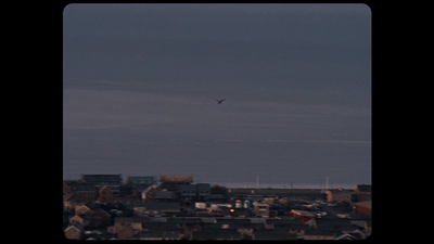 a bird flying over a city at night