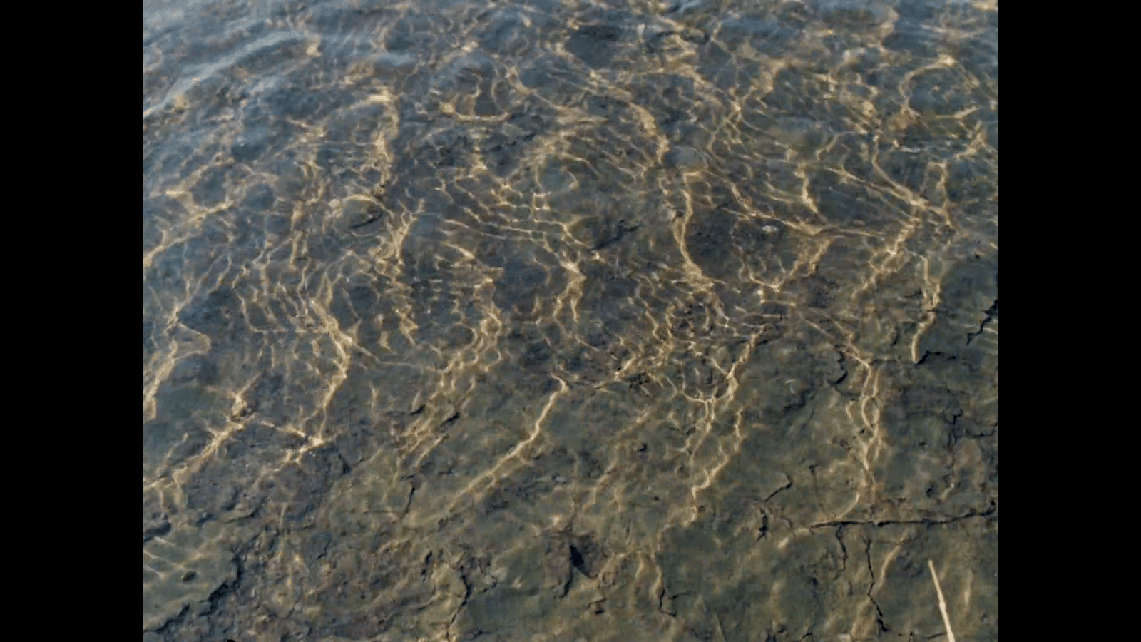 a view of the water from a plane
