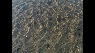 a view of the water from a plane