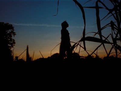 a silhouette of a person standing in a field