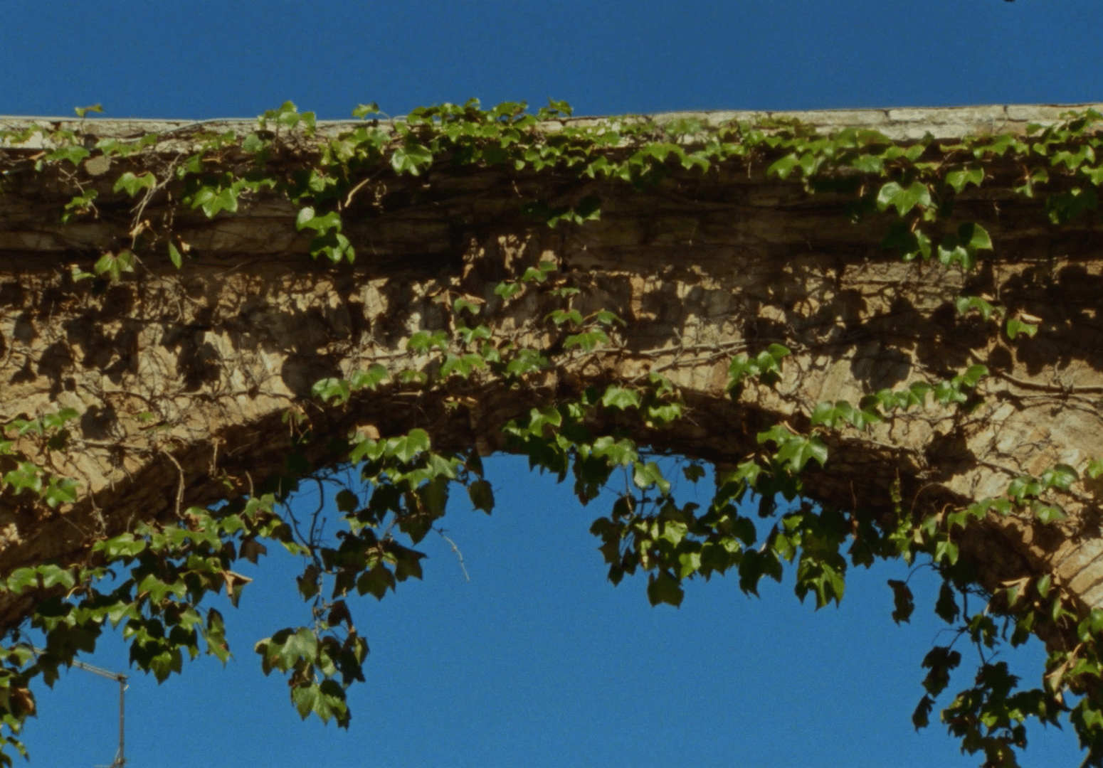a stone arch with vines growing over it