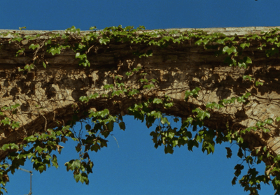 a stone arch with vines growing over it