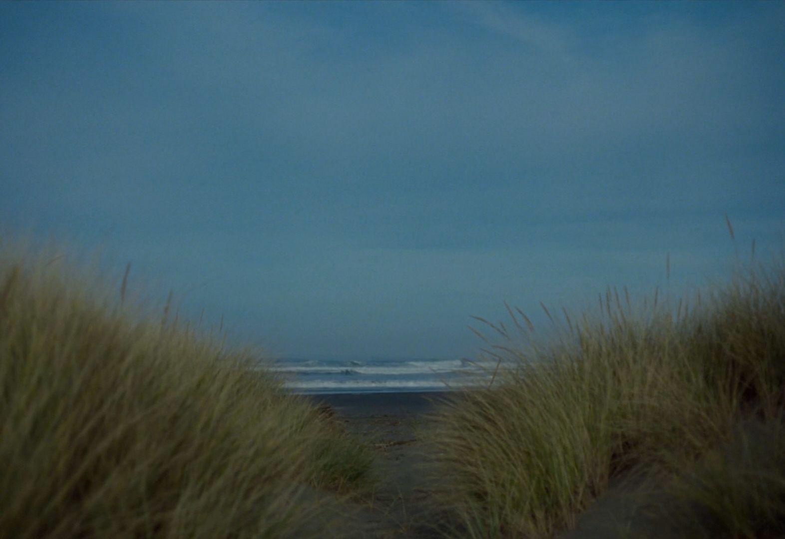 a view of the ocean from the sand dunes