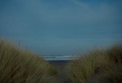 a view of the ocean from the sand dunes
