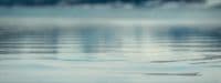 a blurry photo of a body of water