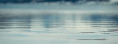 a blurry photo of a body of water