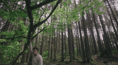 a man standing in the middle of a forest