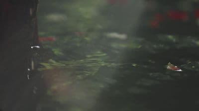a blurry photo of a bench in a park