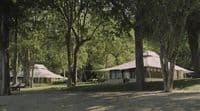 a group of tents in the middle of a forest