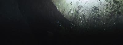 a blurry photo of a light in a dark forest