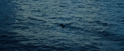 a person swimming in a body of water