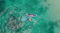 a couple of people riding on top of surfboards in the ocean