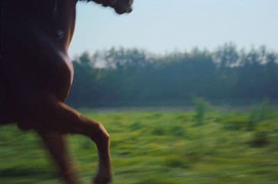 a blurry photo of a horse running in a field