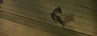 an aerial view of a bird flying over a street