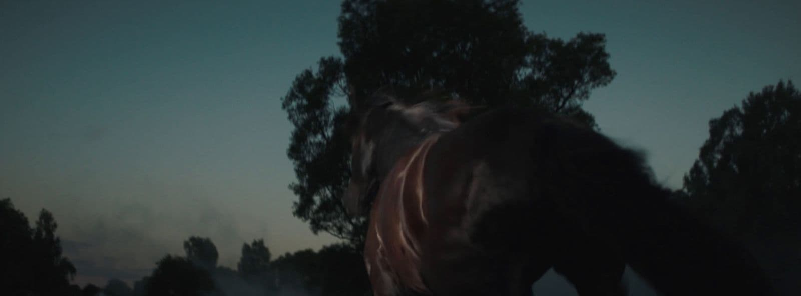 a blurry photo of a horse grazing in a field