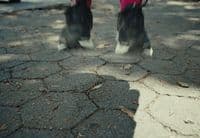 a pair of shoes that are on the ground