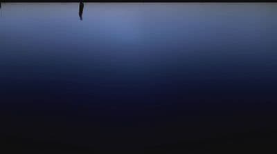 a bird flying over a body of water at night