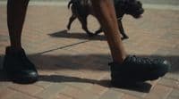 a person walking a dog on a leash