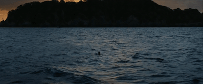 a bird flying over a body of water