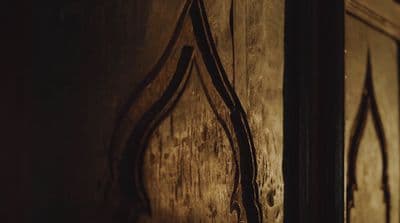 a close up of a wooden door with vines on it