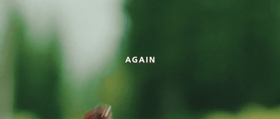 a blurry photo of a blurry image of a bird