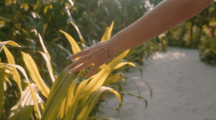a hand reaching for a plant in a garden